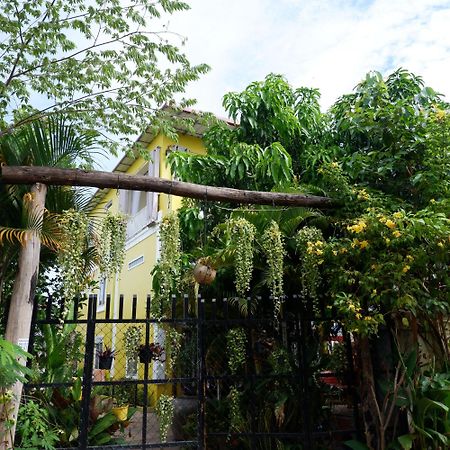 Homestay Yellow Natural House Siem Reap Eksteriør bilde