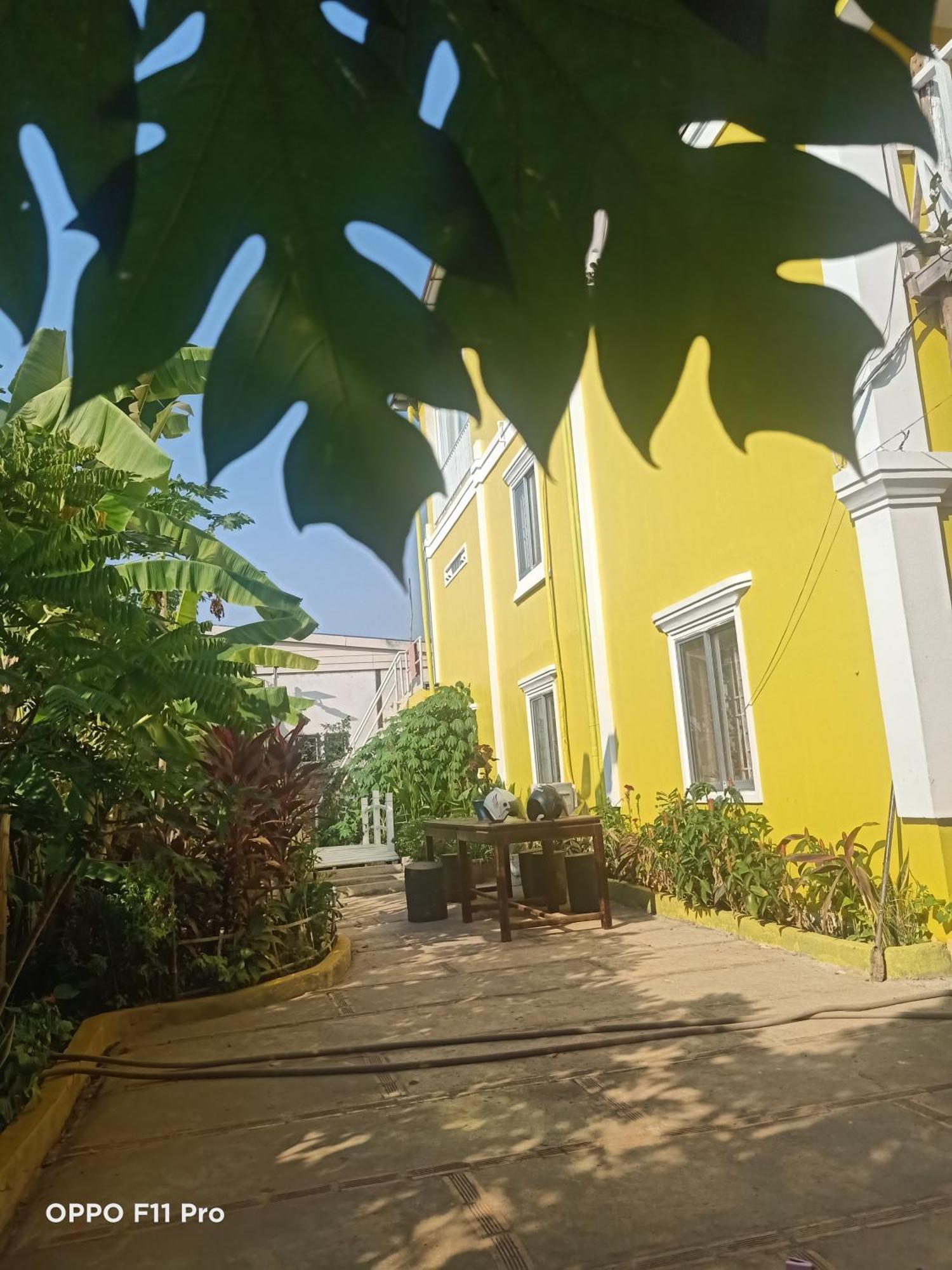 Homestay Yellow Natural House Siem Reap Eksteriør bilde