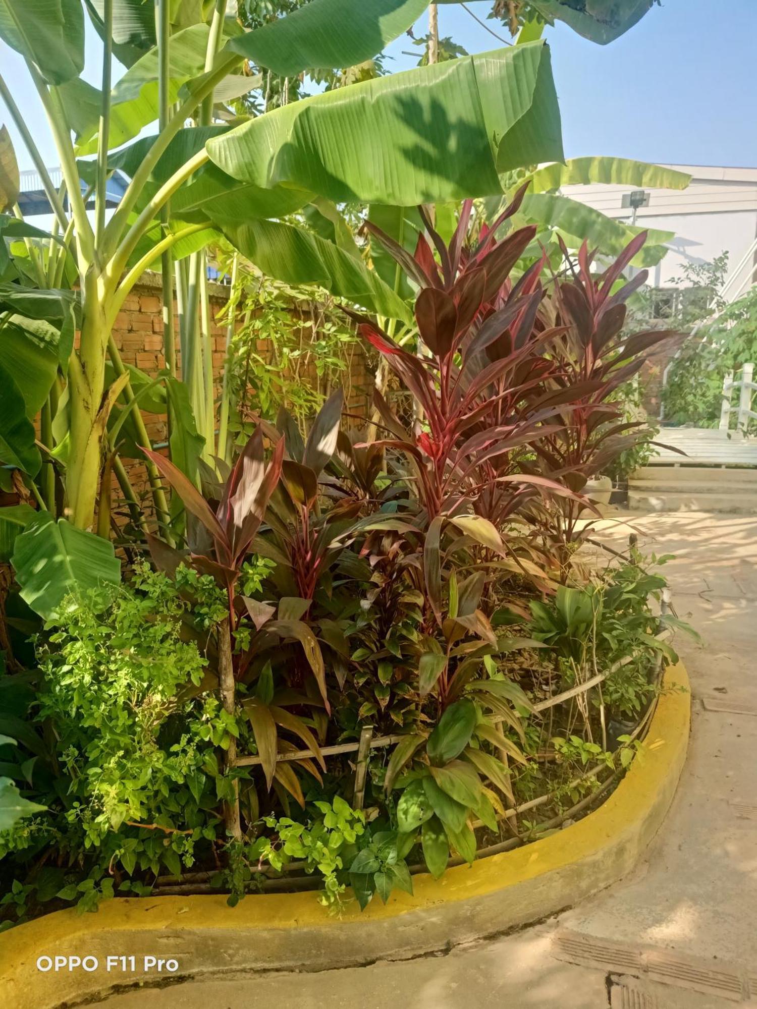 Homestay Yellow Natural House Siem Reap Eksteriør bilde