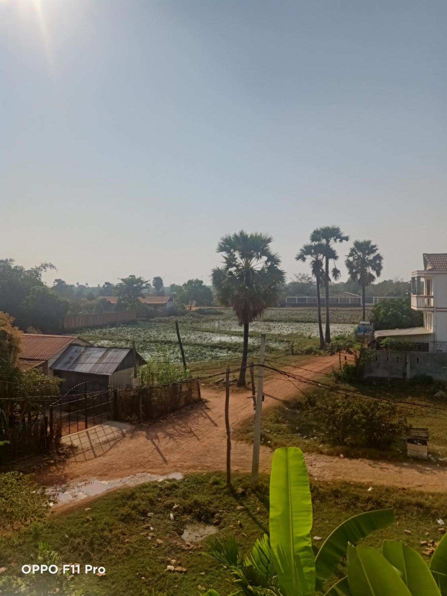 Homestay Yellow Natural House Siem Reap Eksteriør bilde