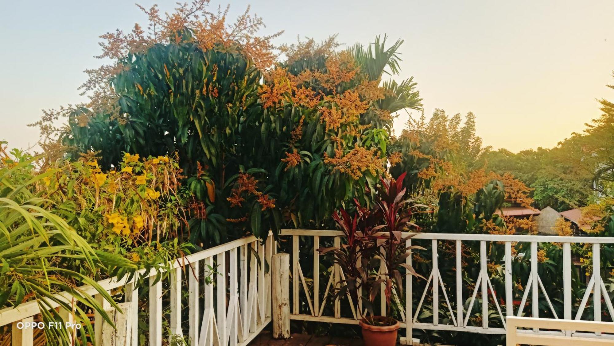 Homestay Yellow Natural House Siem Reap Eksteriør bilde
